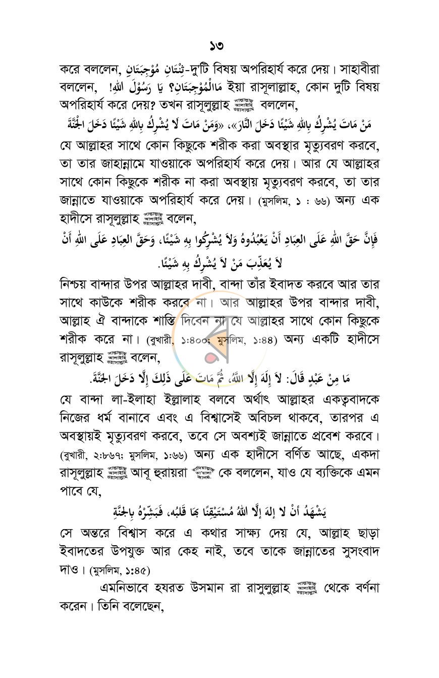 পাতা 13