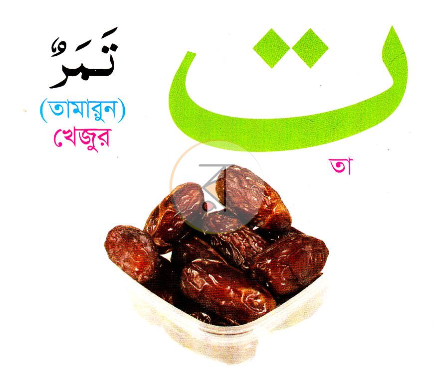 পাতা 3