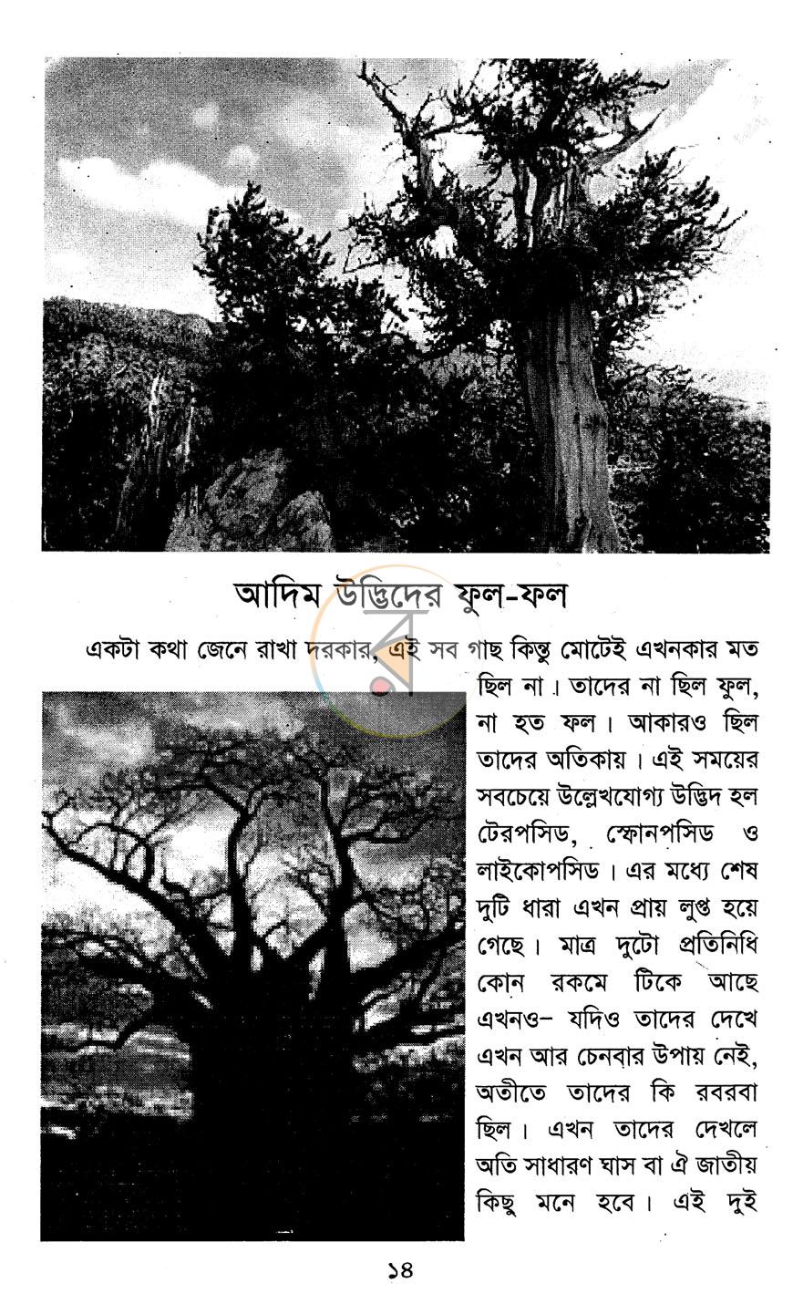 পাতা 8