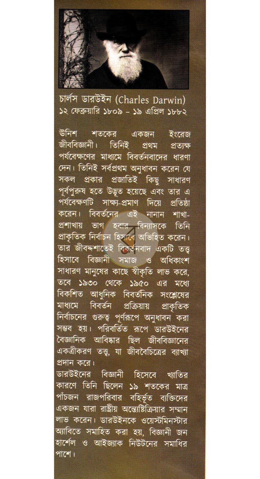 পাতা 13