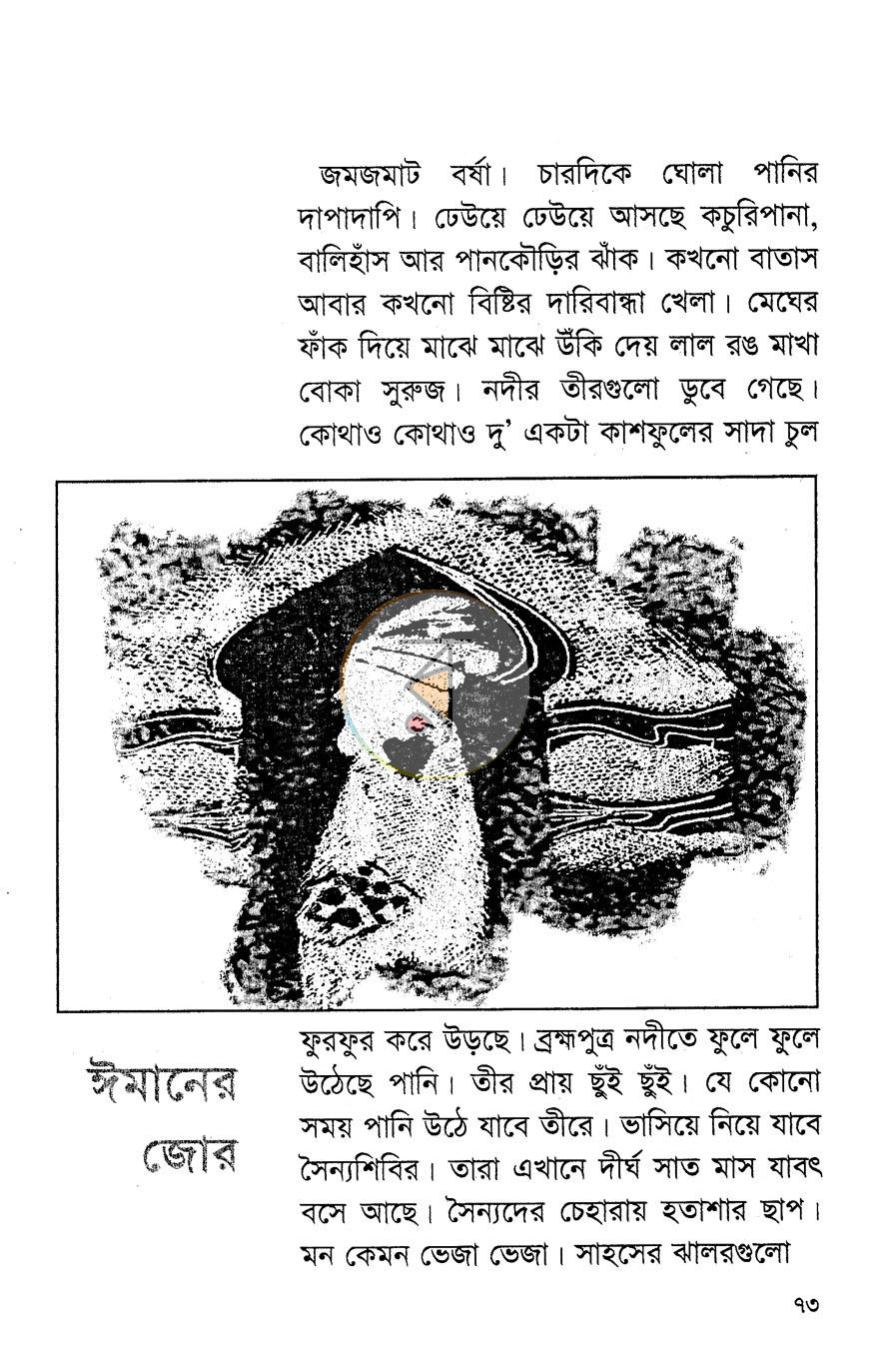 পাতা 12