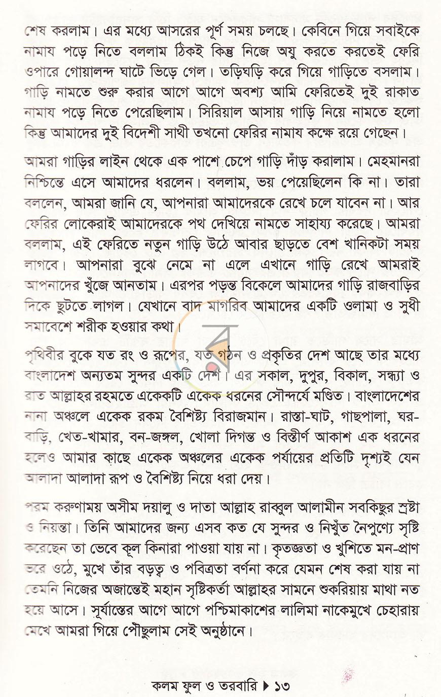 পাতা 11