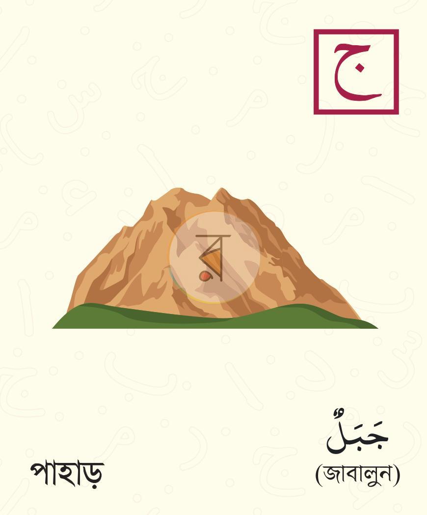 পাতা 6