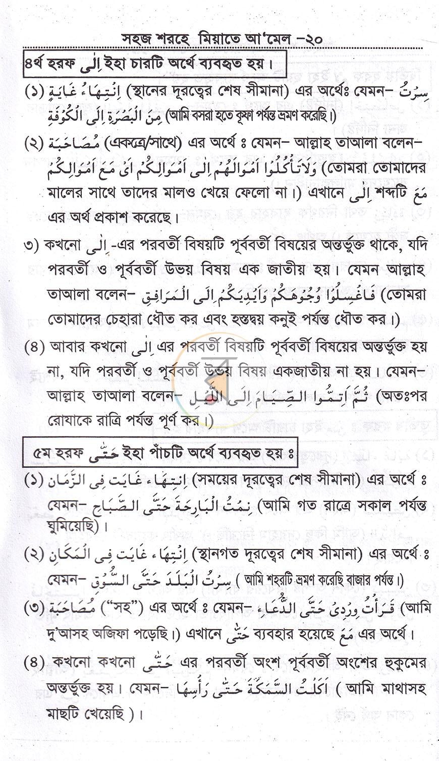 পাতা 11