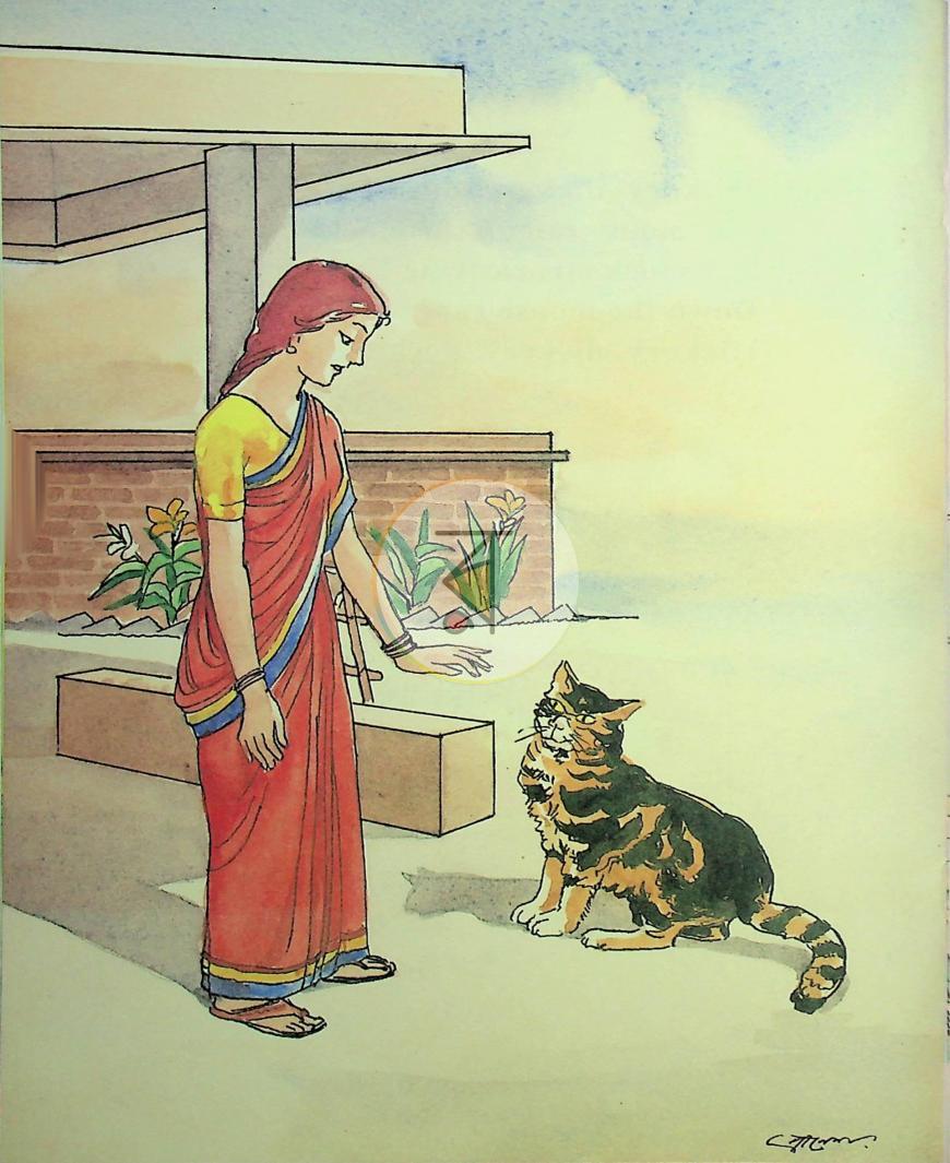 পাতা 9