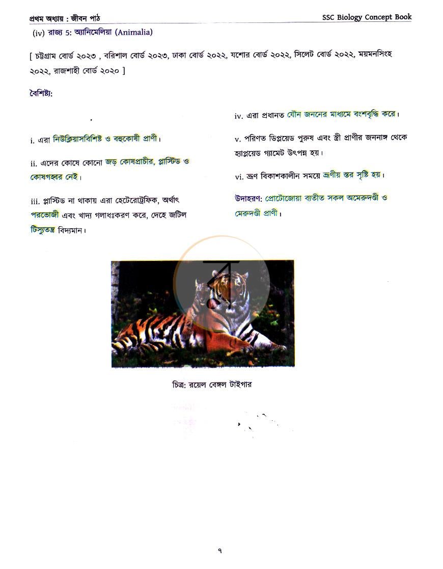 পাতা 7