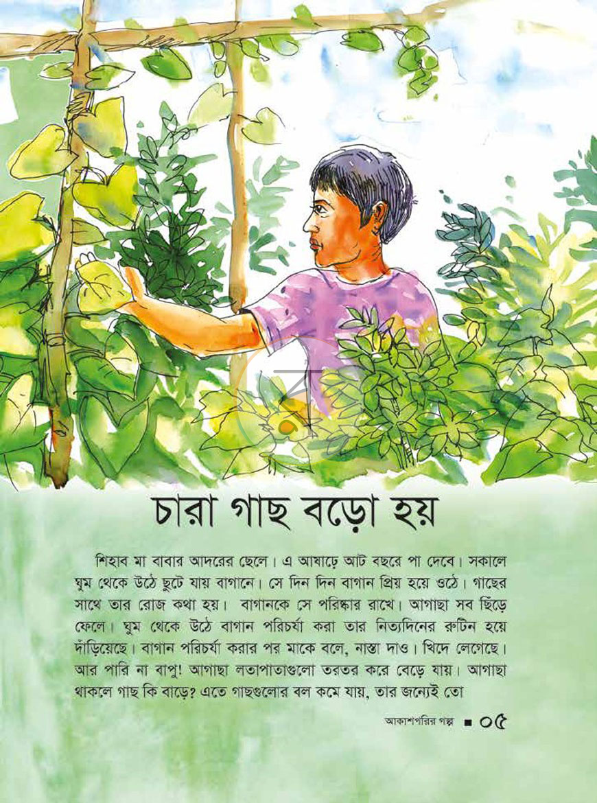 পাতা 3
