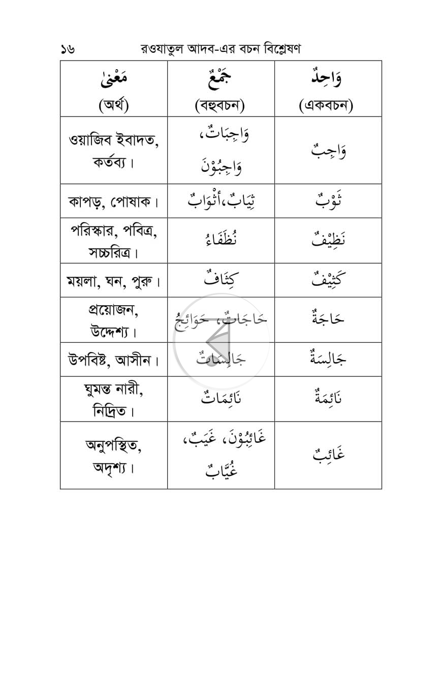 পাতা 13
