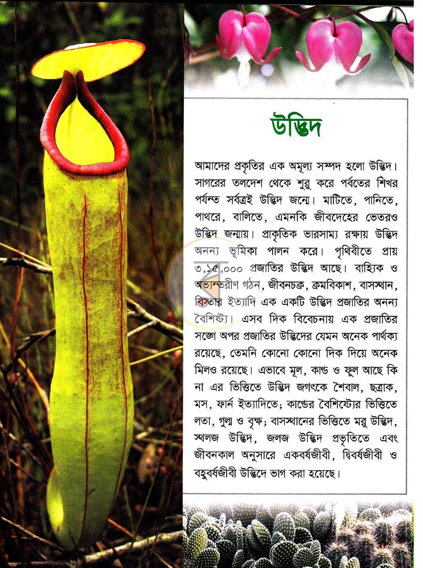 পাতা 4