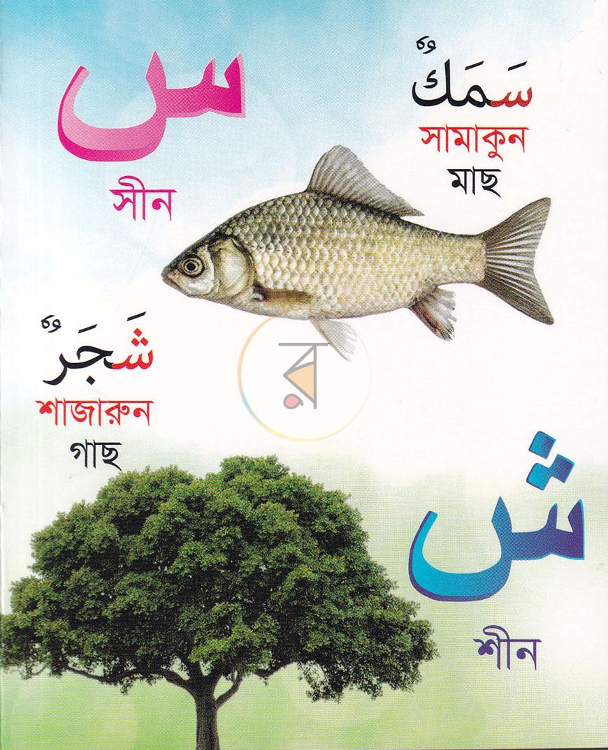 পাতা 8