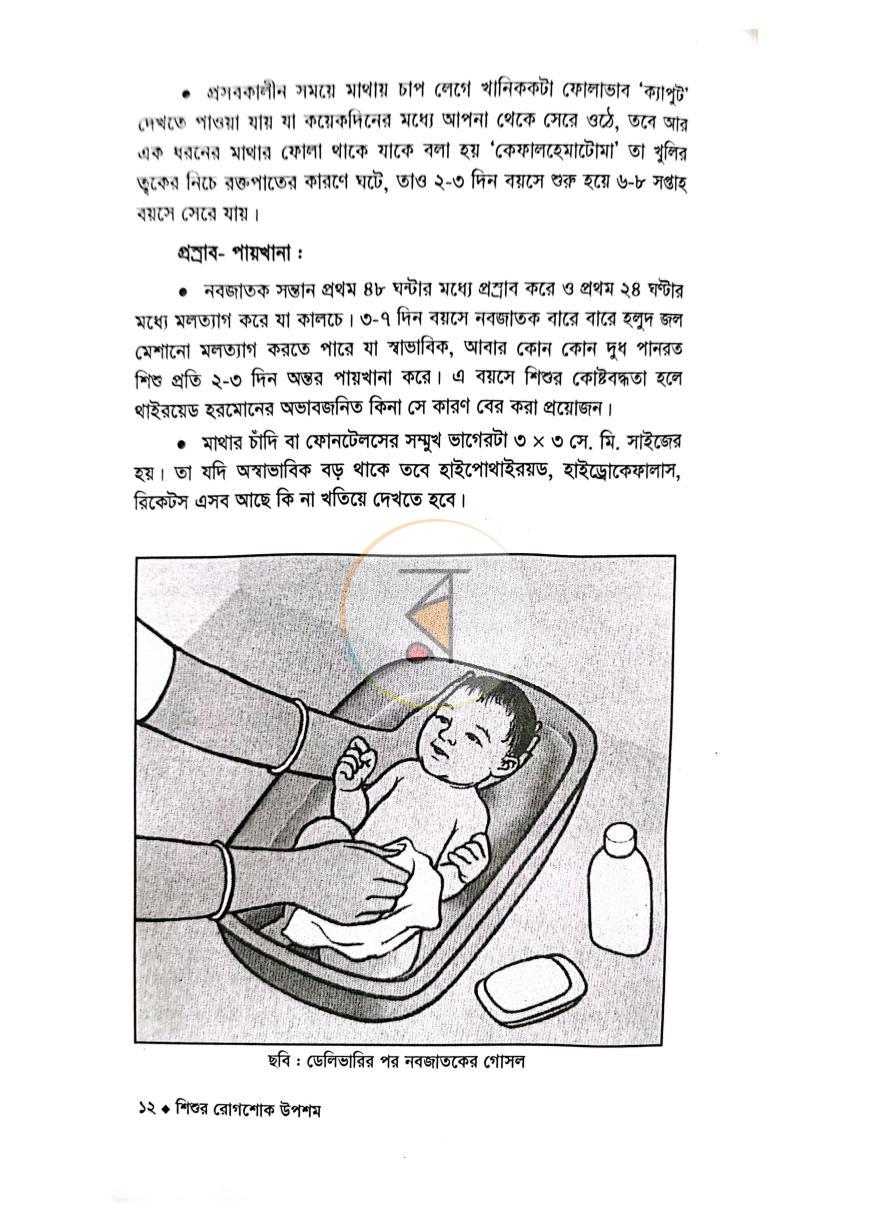 পাতা 6
