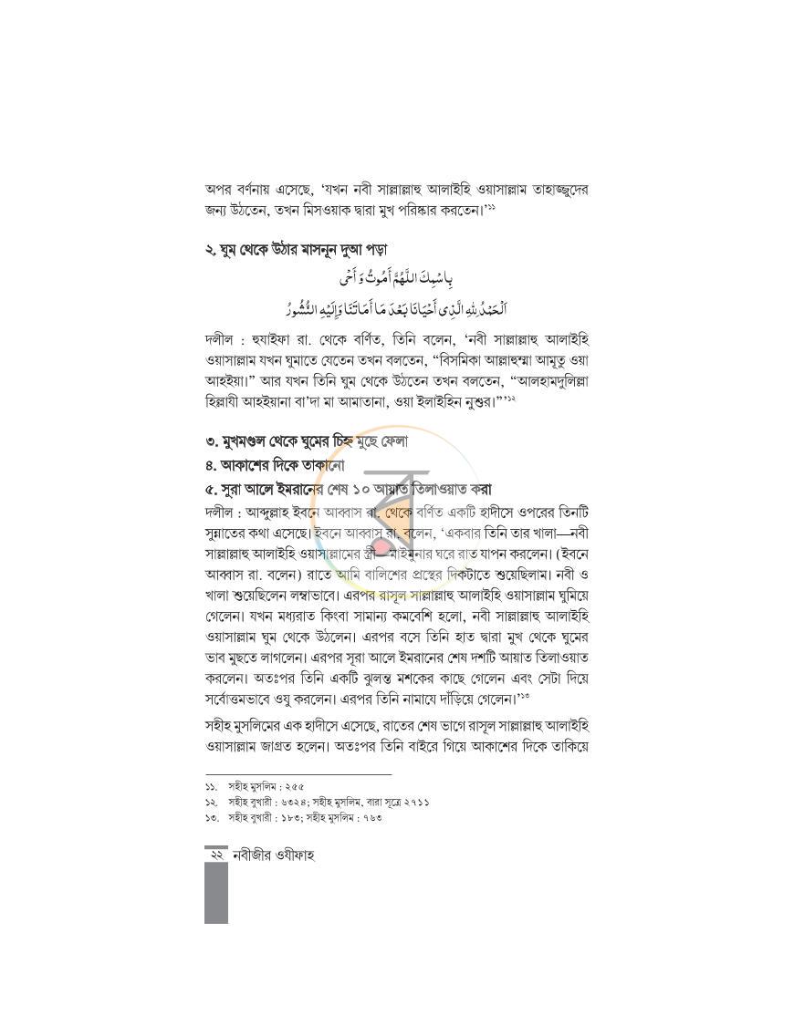 পাতা 13
