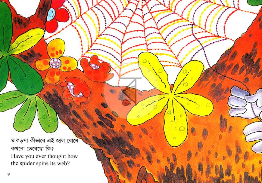 পাতা 5