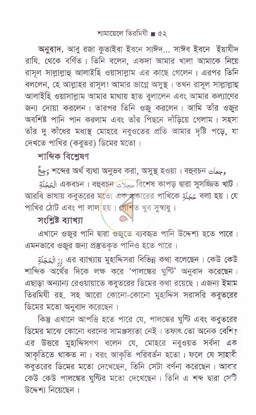 পাতা 17