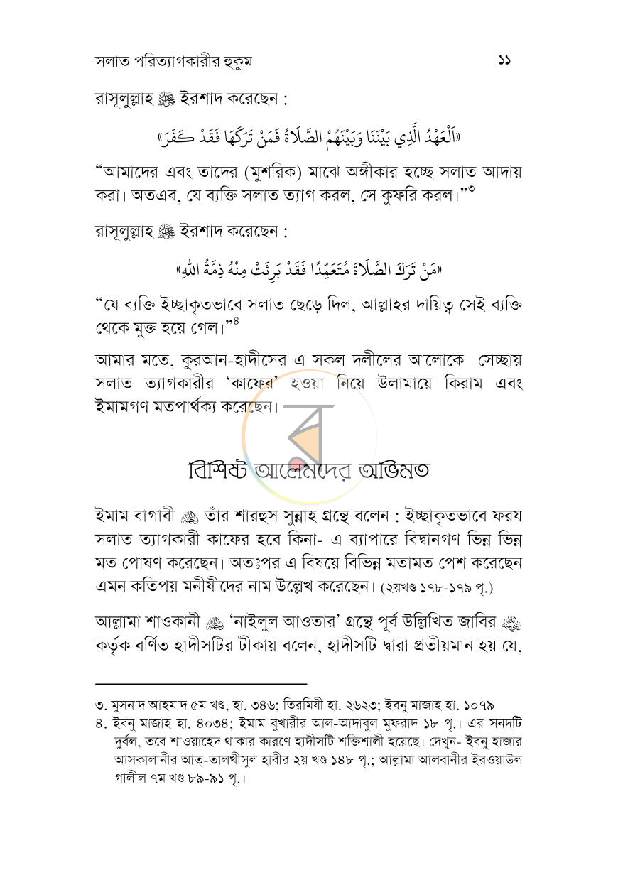 পাতা 8