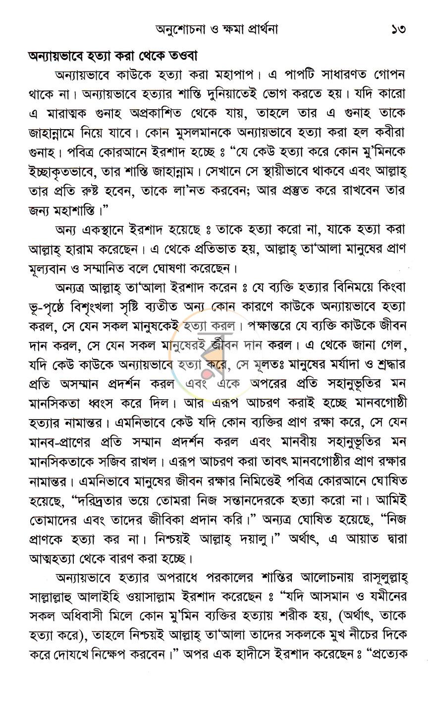 পাতা 13