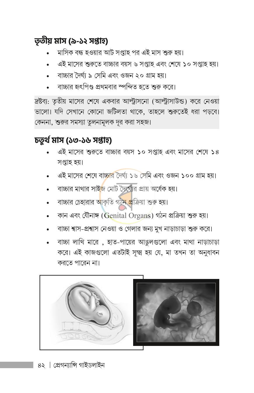 পাতা 19