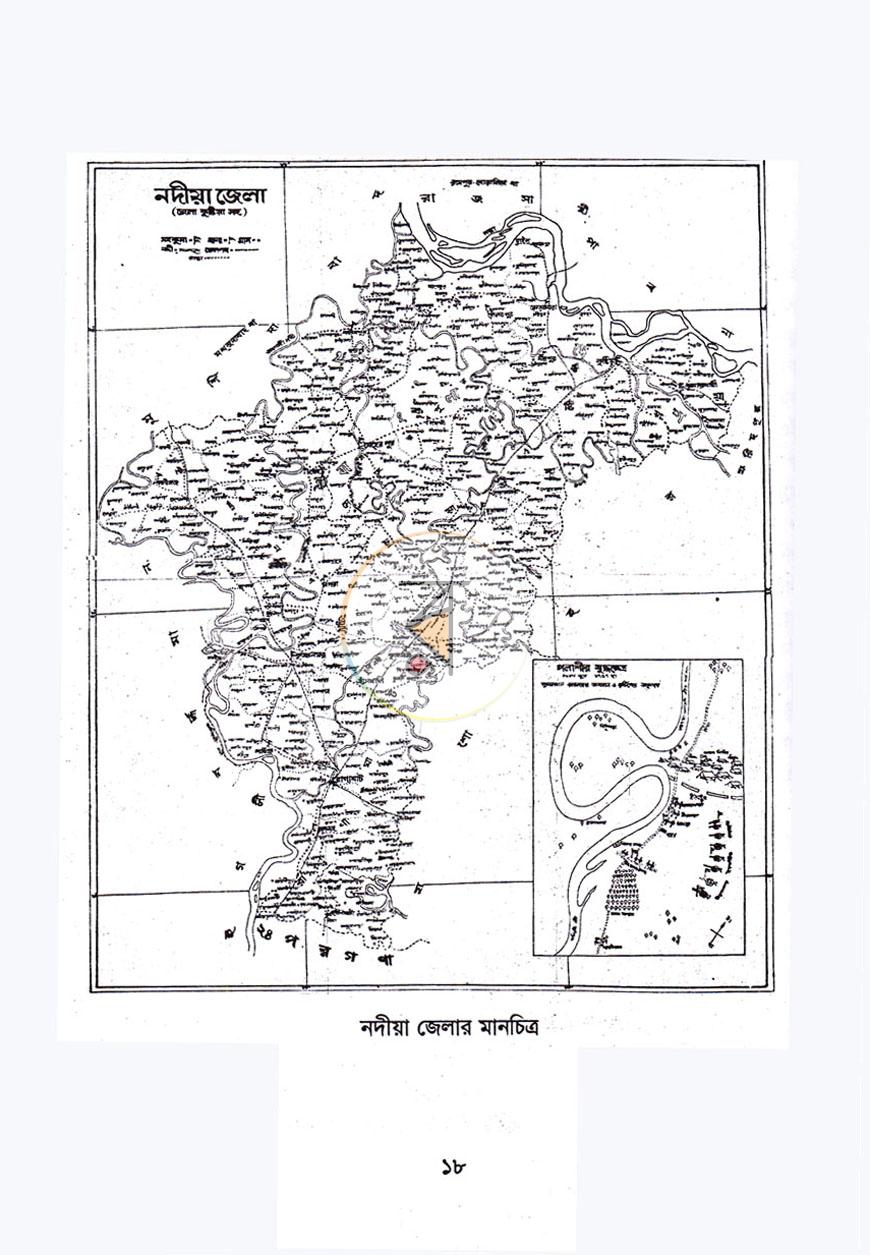 পাতা 11
