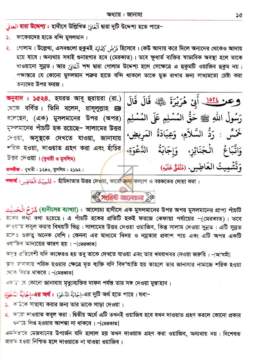 পাতা 13