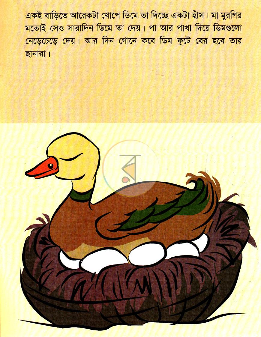 পাতা 3