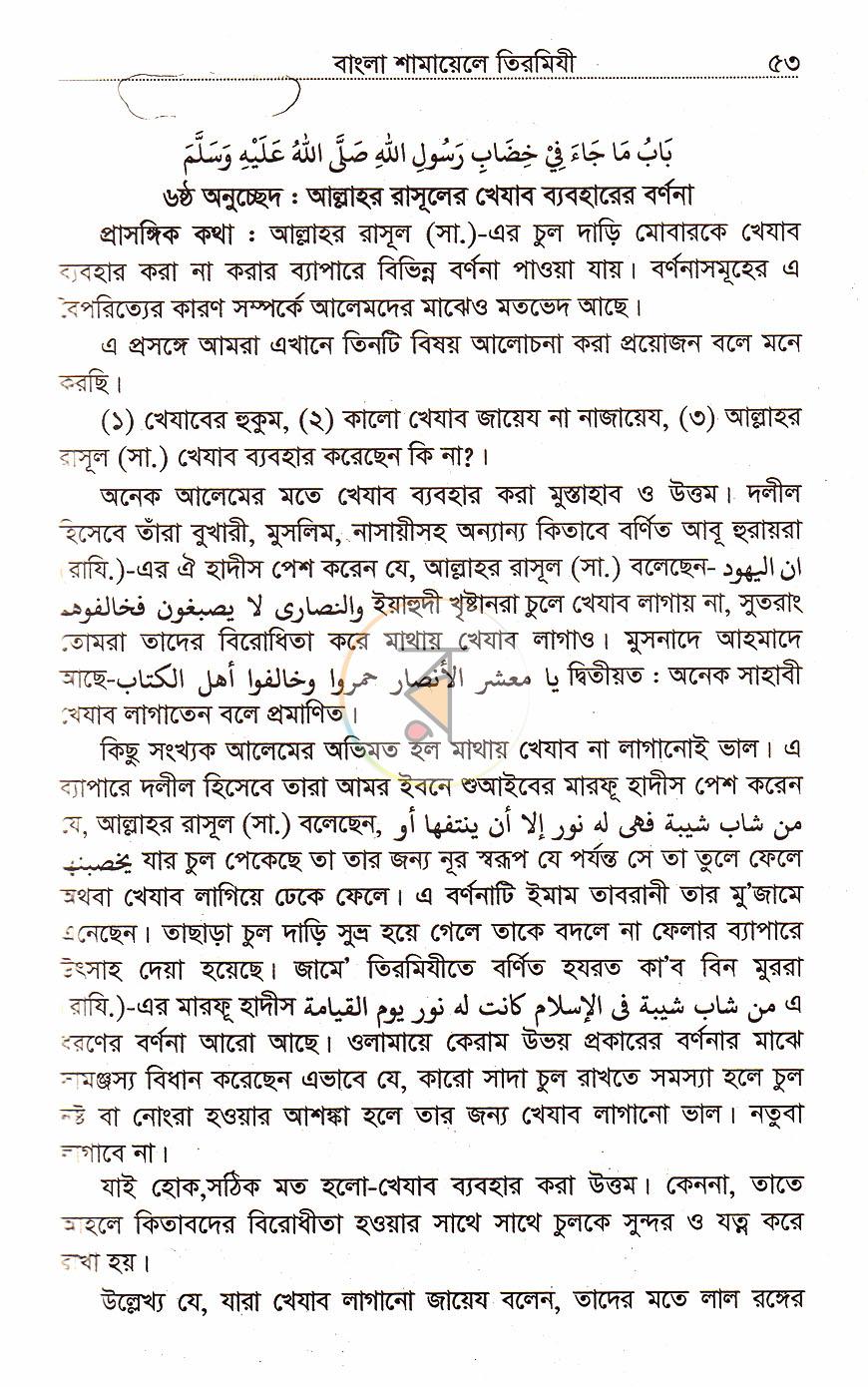পাতা 14