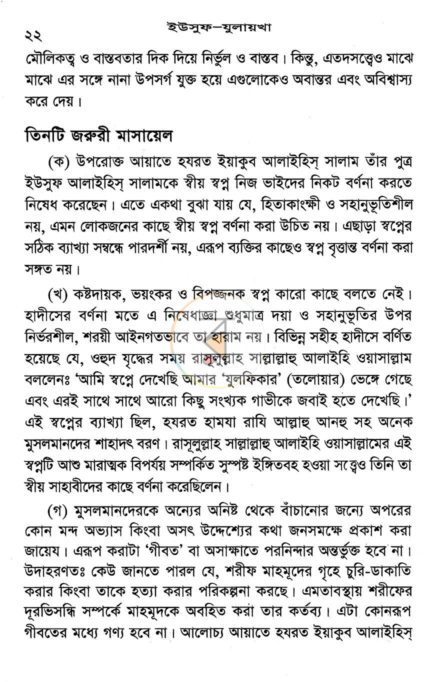 পাতা 13
