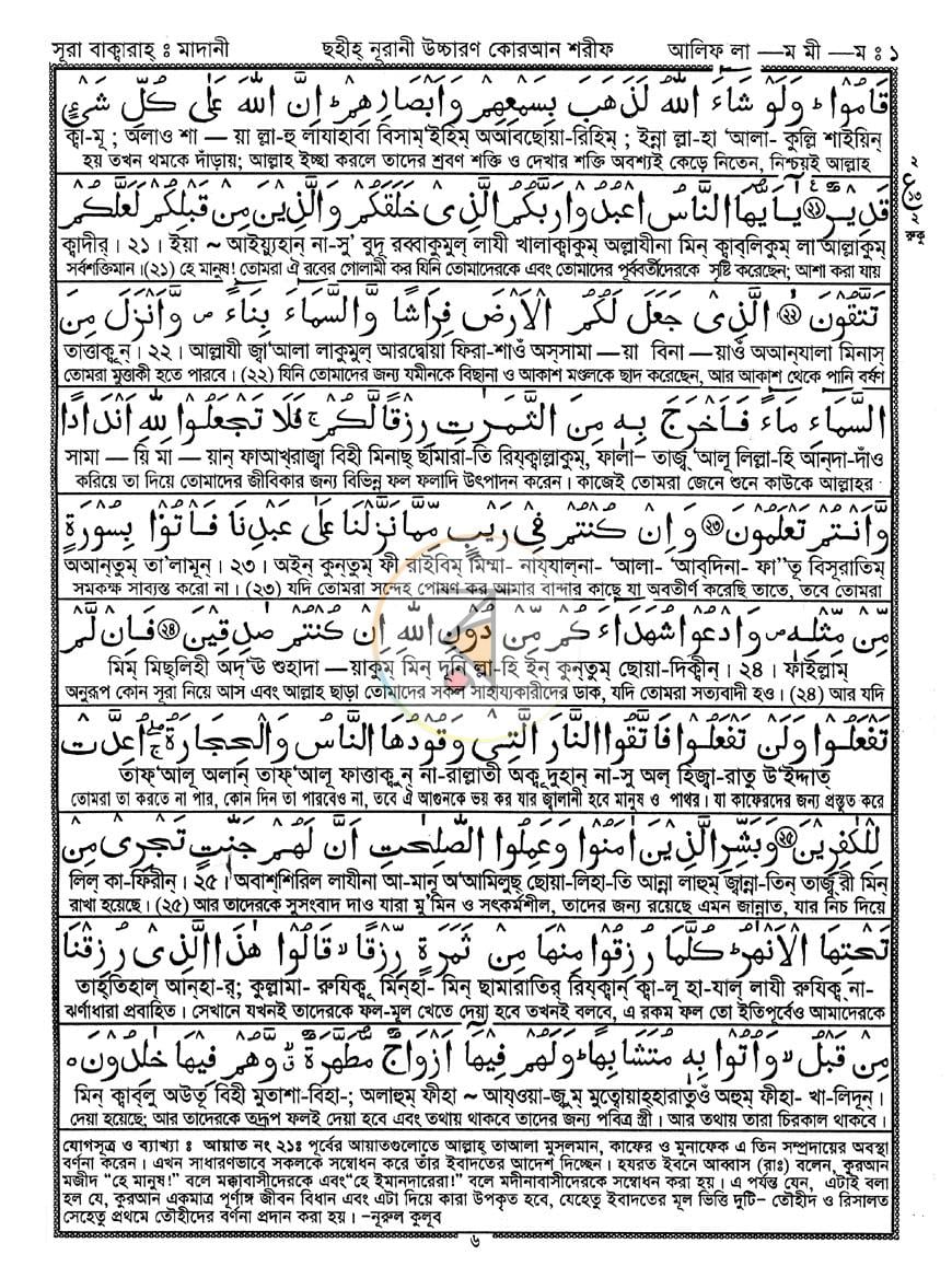 পাতা 11