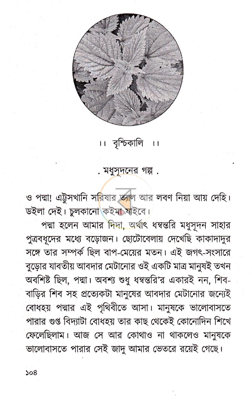 পাতা 8