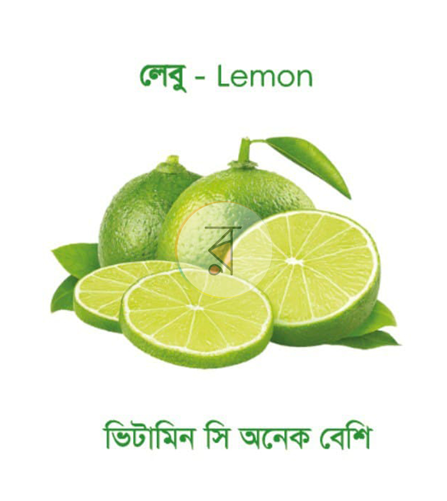 পাতা 4