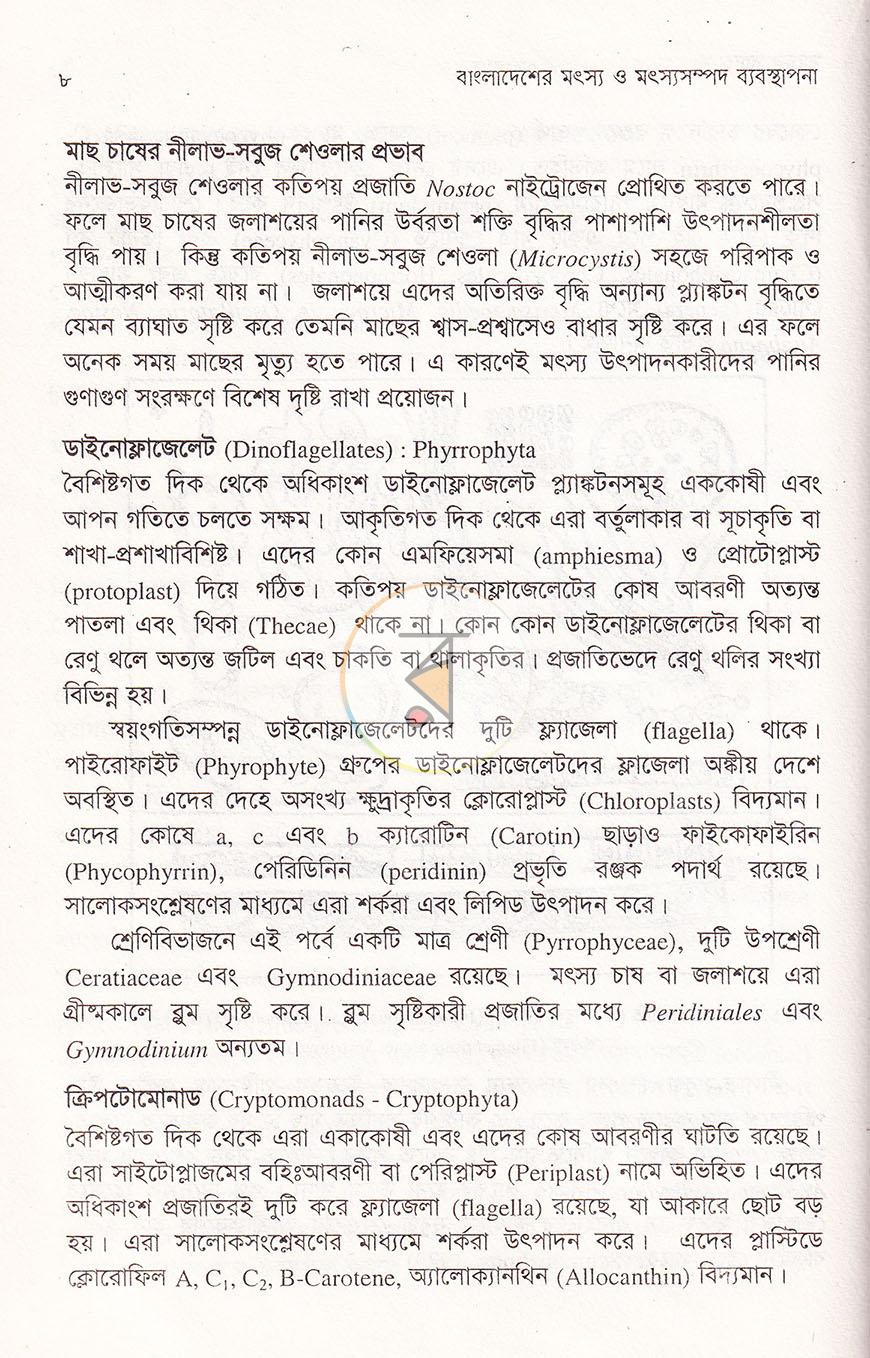 পাতা 12