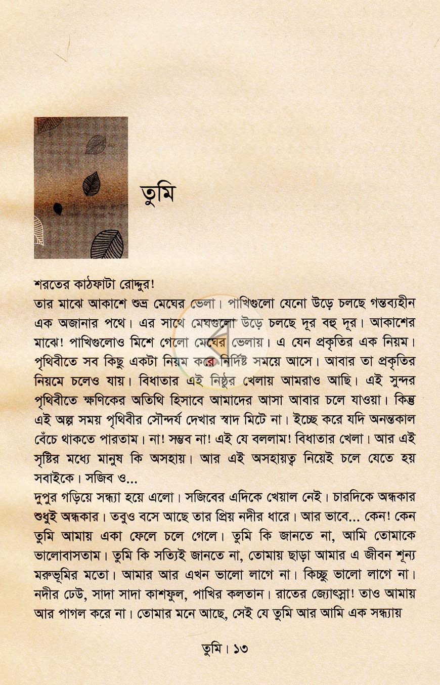 পাতা 8
