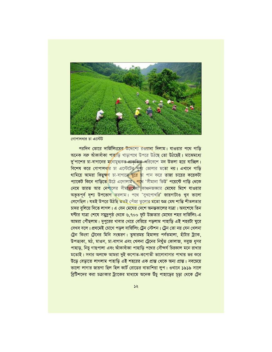 পাতা 10
