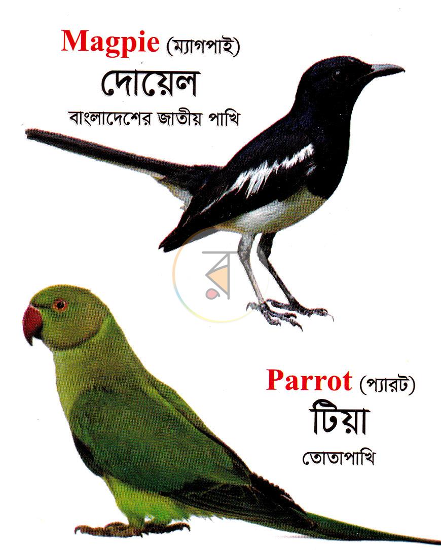 পাতা 9