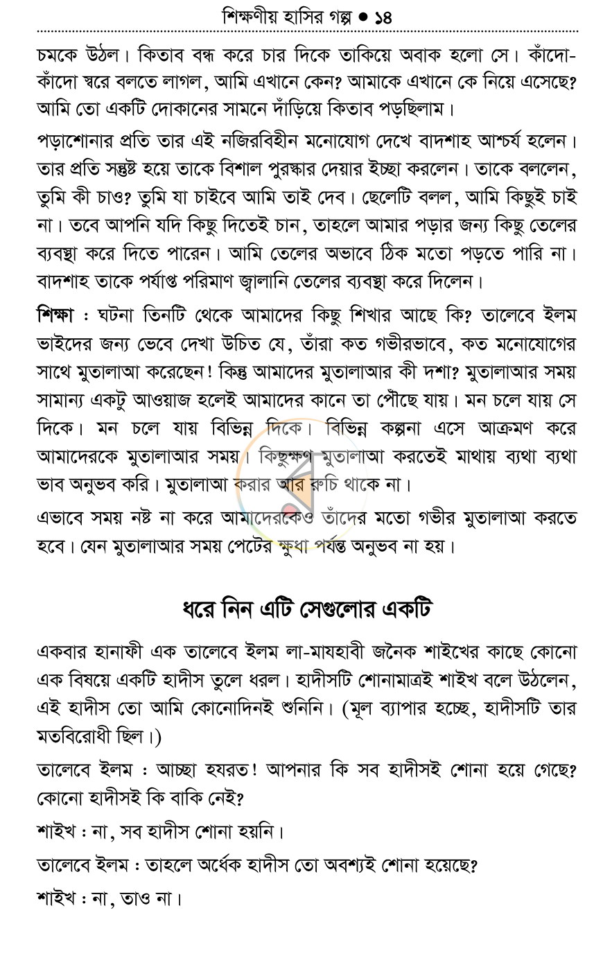 পাতা 13