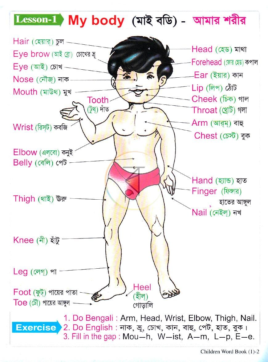 পাতা 2