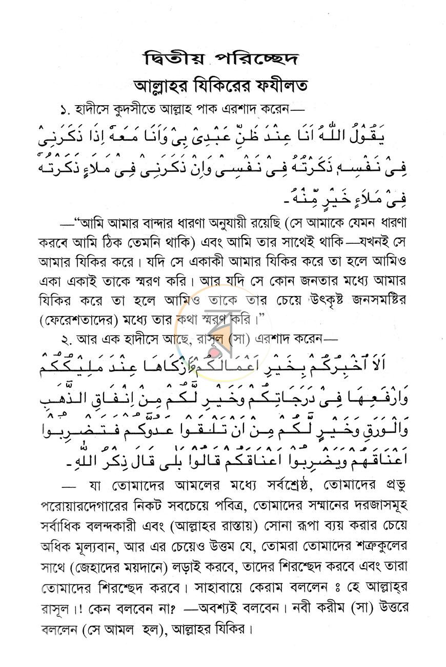 পাতা 11