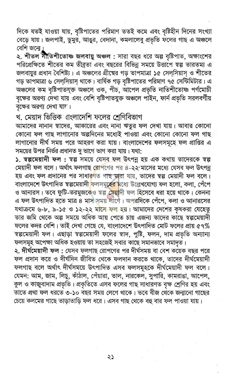 পাতা 10