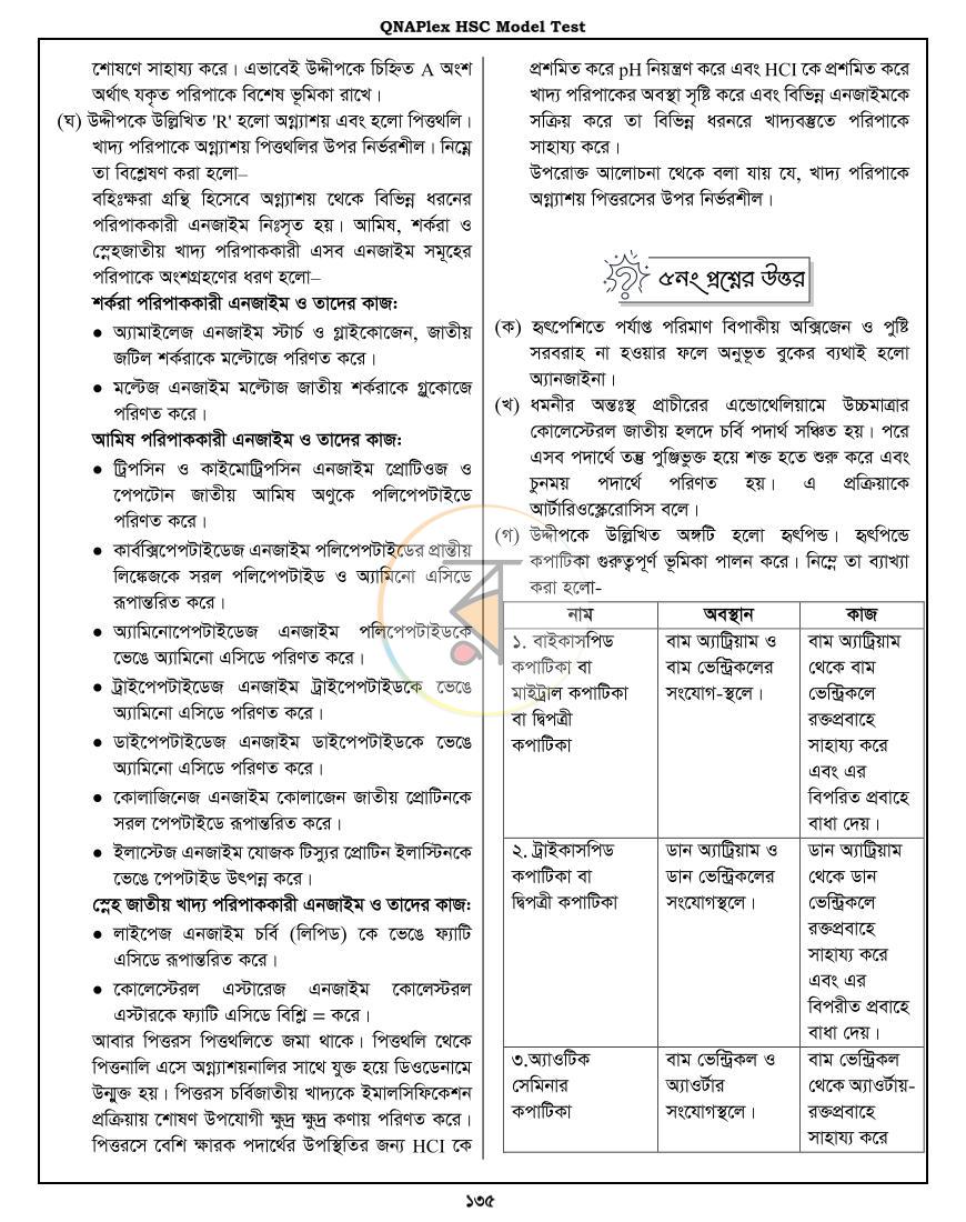 পাতা 25