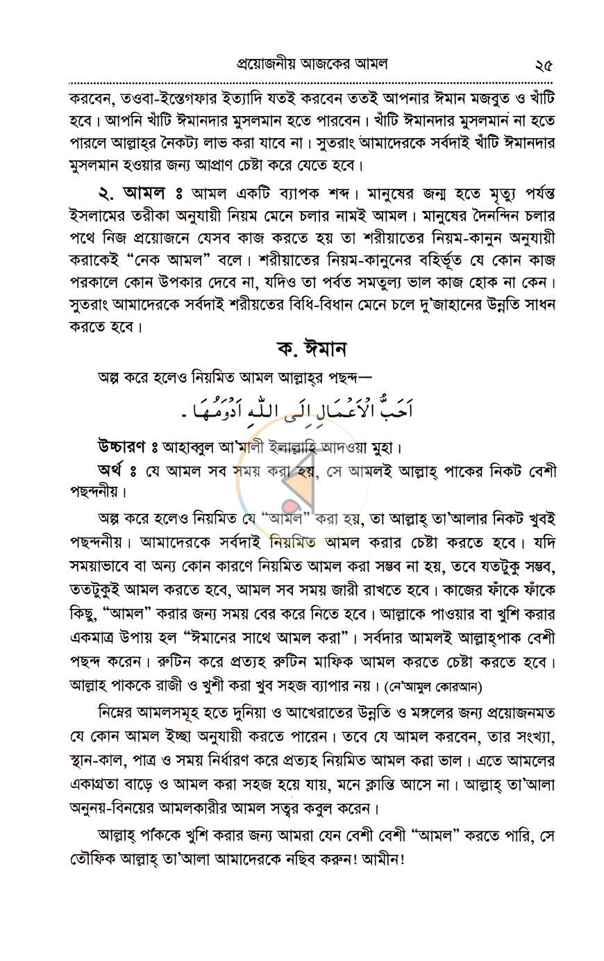 পাতা 11