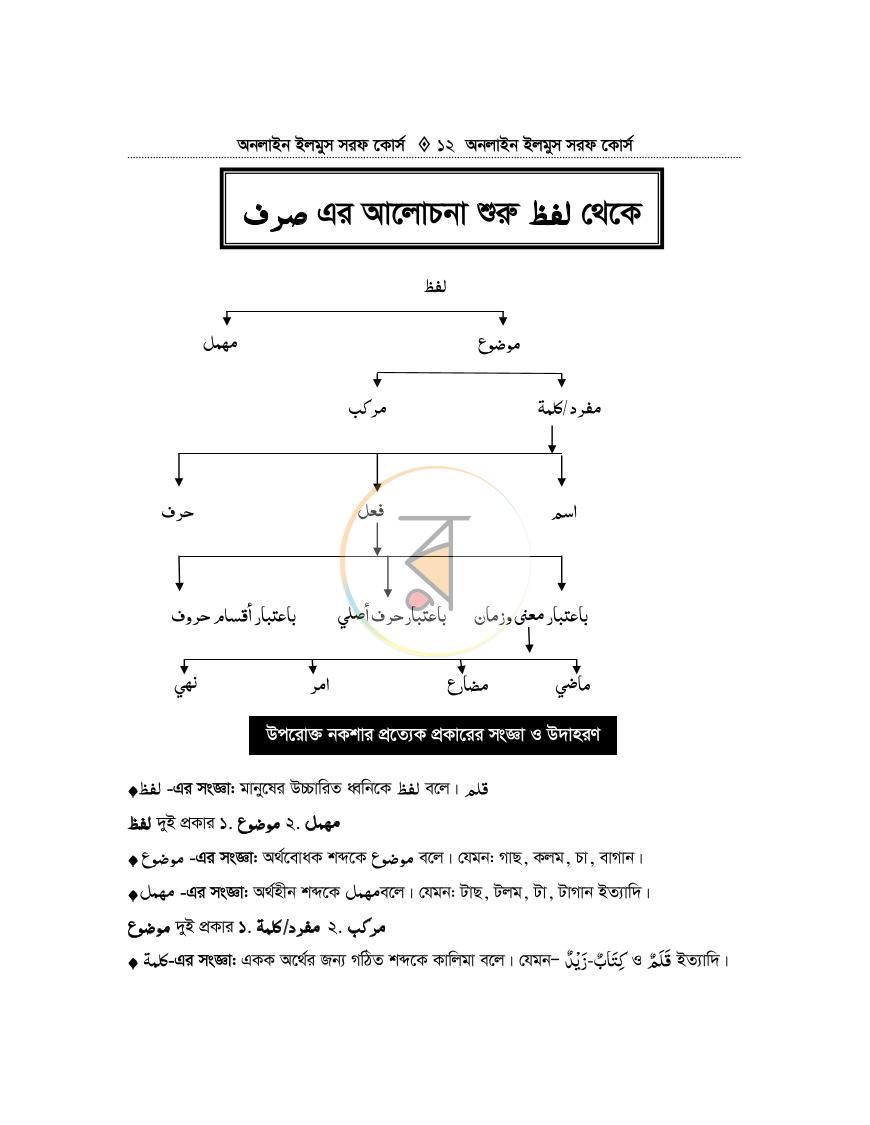 পাতা 11