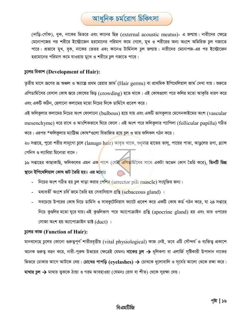 পাতা 16