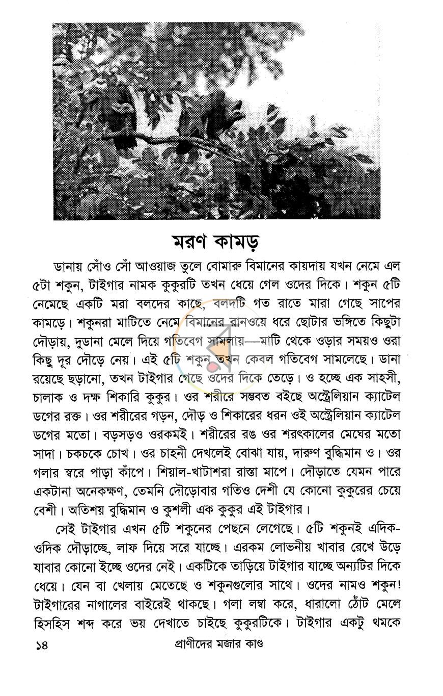 পাতা 10