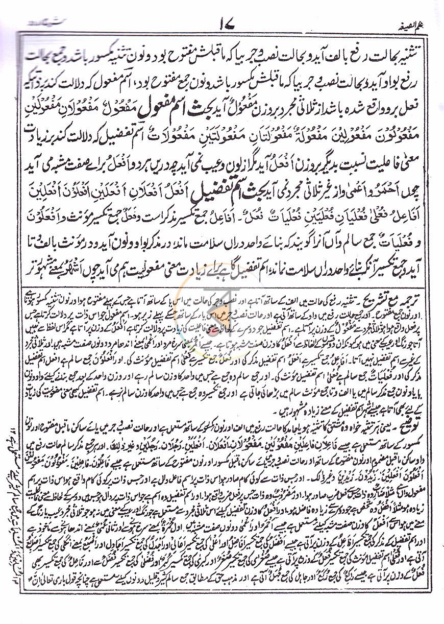 পাতা 7