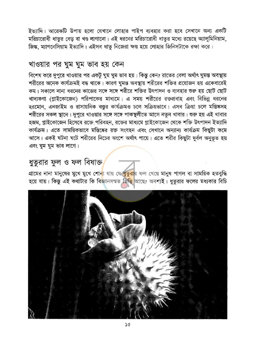 পাতা 8