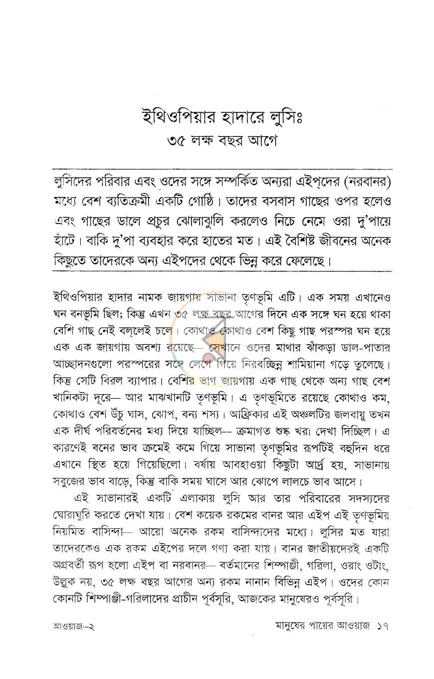 পাতা 11
