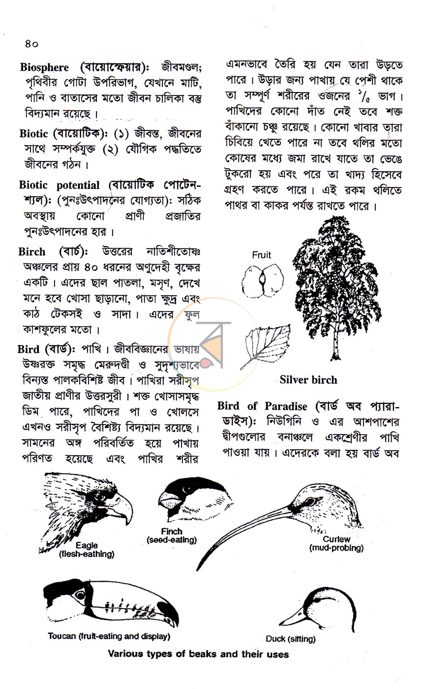 পাতা 6