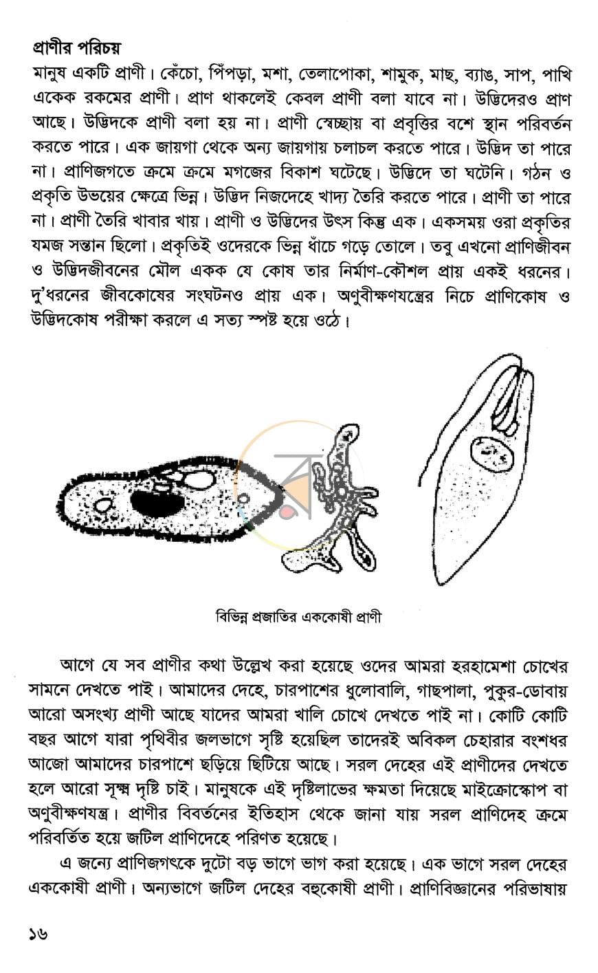 পাতা 9