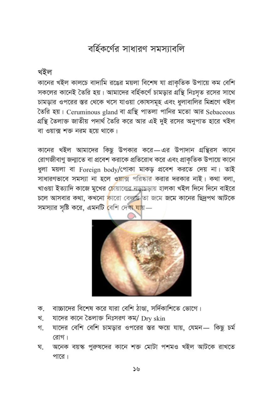 পাতা 12