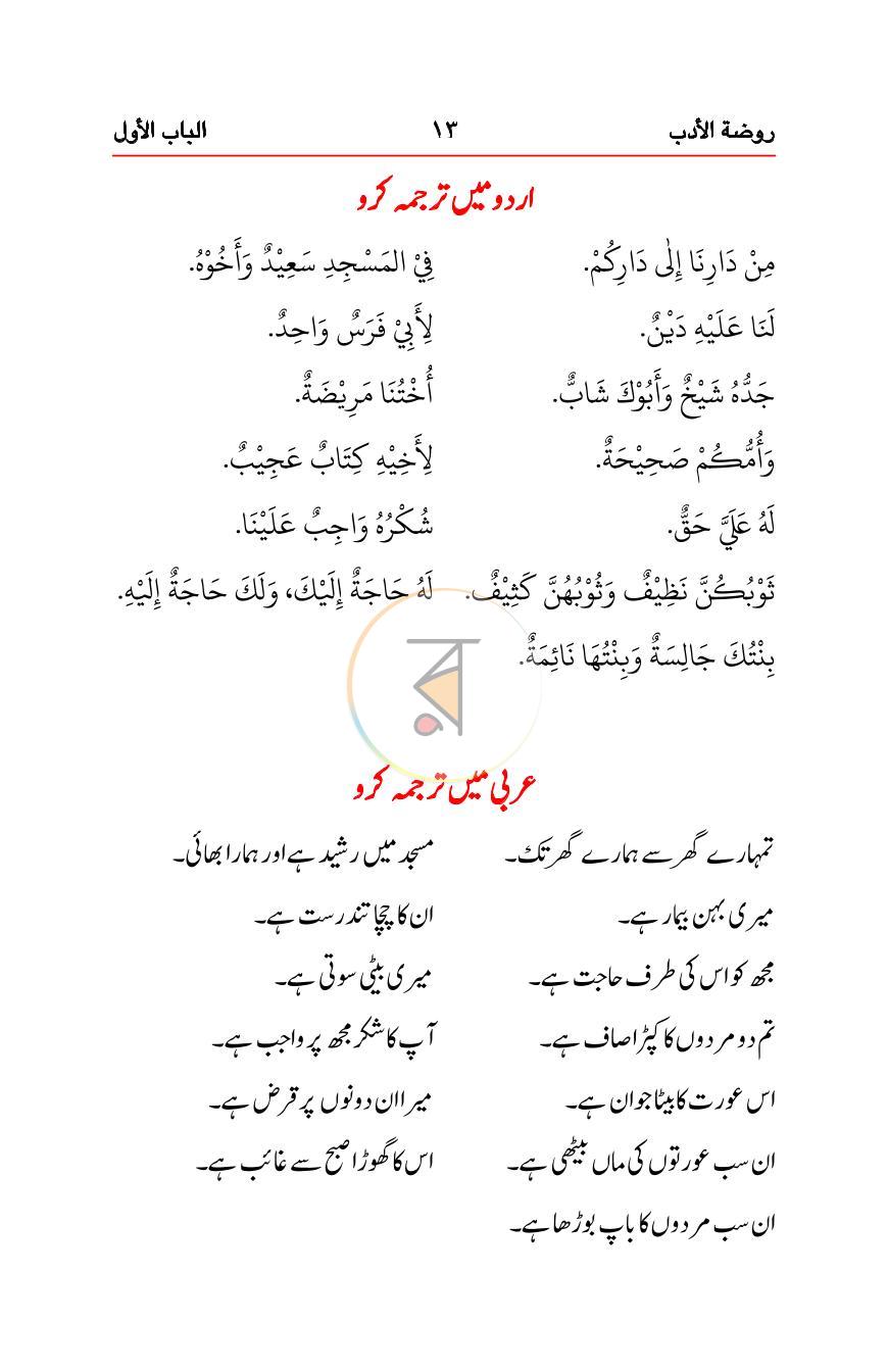 পাতা 13