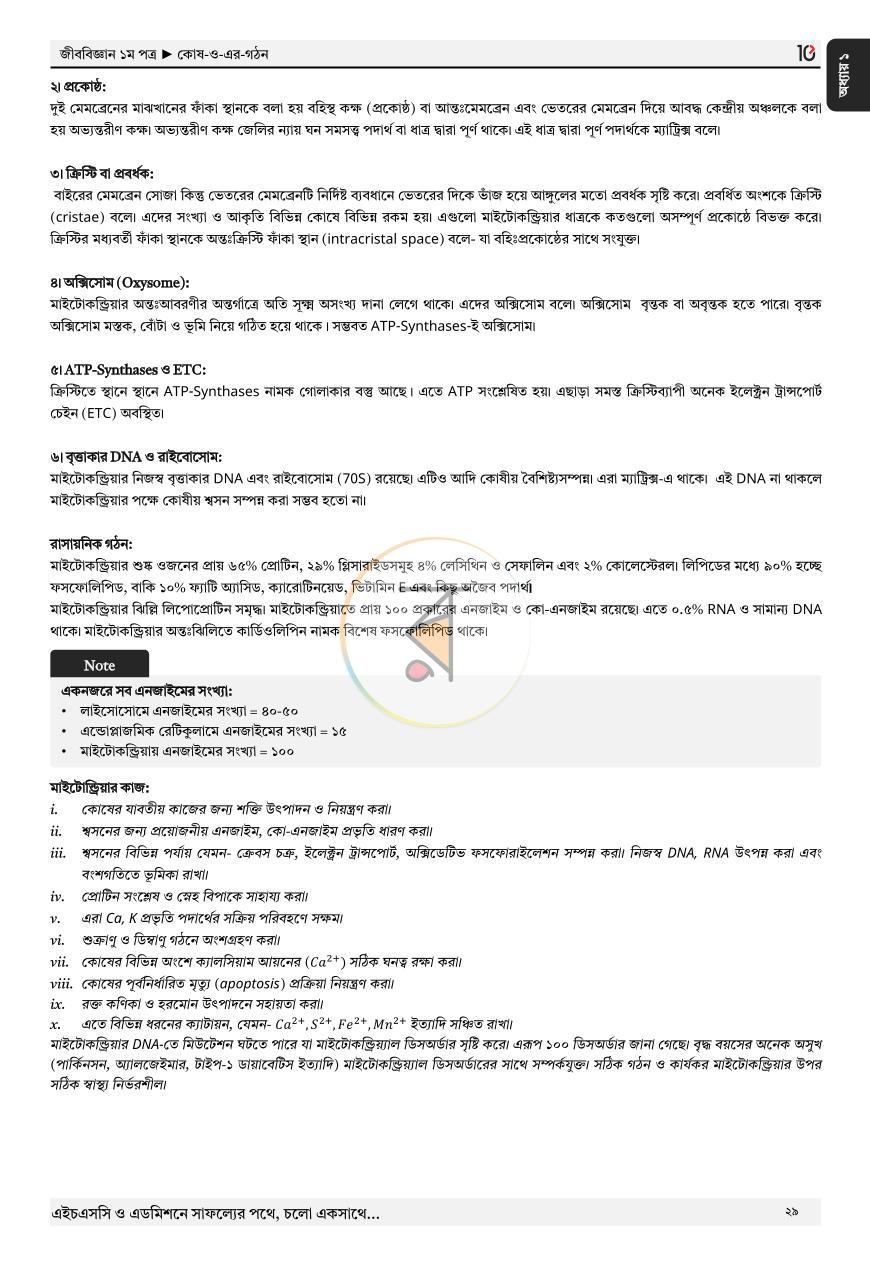 পাতা 25